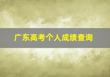 广东高考个人成绩查询