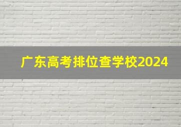 广东高考排位查学校2024