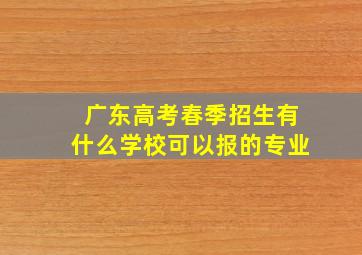 广东高考春季招生有什么学校可以报的专业