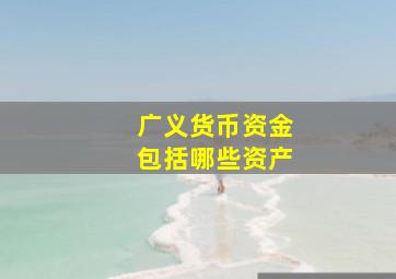 广义货币资金包括哪些资产