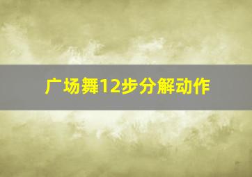 广场舞12步分解动作