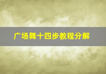 广场舞十四步教程分解