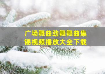 广场舞曲劲舞舞曲集锦视频播放大全下载