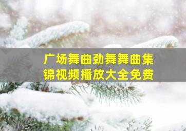 广场舞曲劲舞舞曲集锦视频播放大全免费