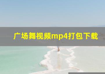 广场舞视频mp4打包下载