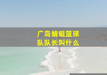 广岛蜻蜓篮球队队长叫什么