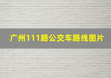 广州111路公交车路线图片