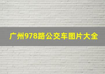 广州978路公交车图片大全