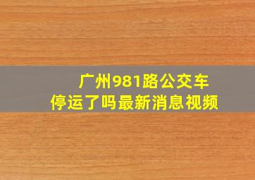 广州981路公交车停运了吗最新消息视频