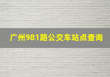 广州981路公交车站点查询