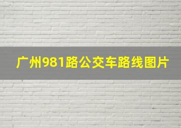 广州981路公交车路线图片