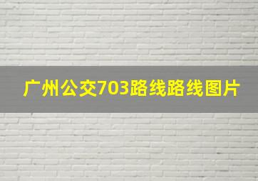 广州公交703路线路线图片