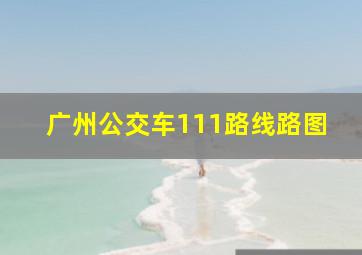 广州公交车111路线路图