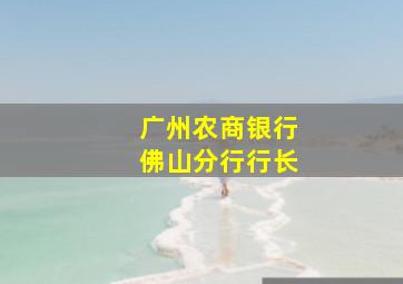 广州农商银行佛山分行行长