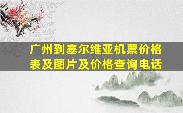 广州到塞尔维亚机票价格表及图片及价格查询电话