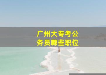 广州大专考公务员哪些职位