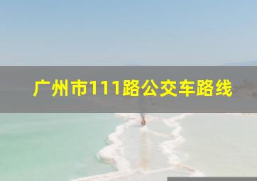 广州市111路公交车路线