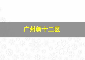 广州新十二区