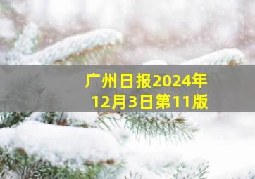 广州日报2024年12月3日第11版