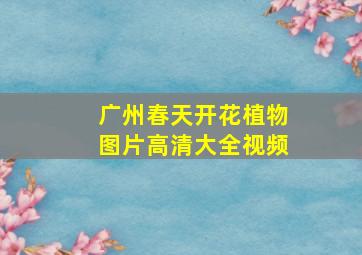 广州春天开花植物图片高清大全视频