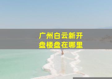 广州白云新开盘楼盘在哪里