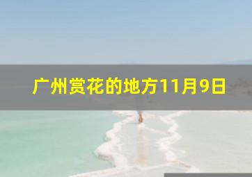 广州赏花的地方11月9日