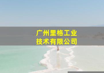 广州里格工业技术有限公司