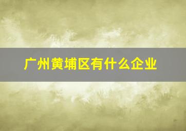 广州黄埔区有什么企业