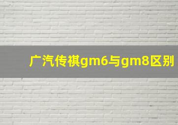 广汽传祺gm6与gm8区别