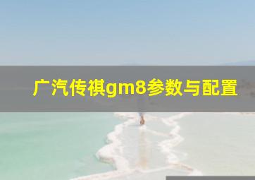 广汽传祺gm8参数与配置