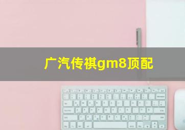 广汽传祺gm8顶配