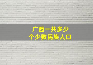 广西一共多少个少数民族人口