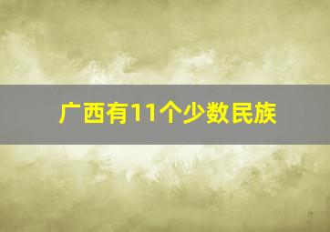 广西有11个少数民族