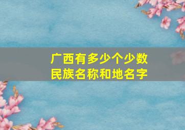 广西有多少个少数民族名称和地名字