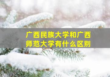 广西民族大学和广西师范大学有什么区别