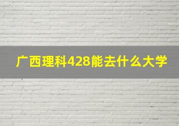 广西理科428能去什么大学