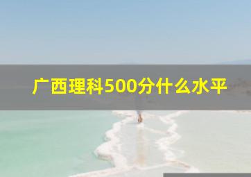 广西理科500分什么水平