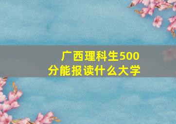 广西理科生500分能报读什么大学