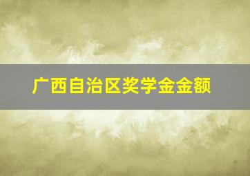 广西自治区奖学金金额