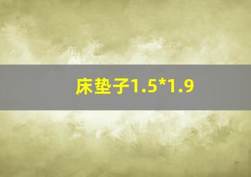 床垫子1.5*1.9