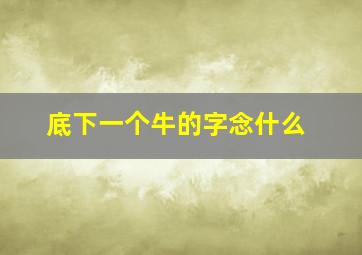 底下一个牛的字念什么