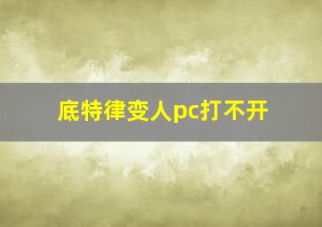 底特律变人pc打不开