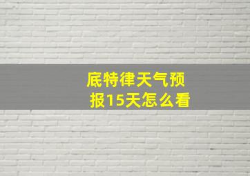 底特律天气预报15天怎么看