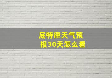 底特律天气预报30天怎么看