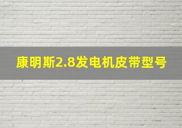 康明斯2.8发电机皮带型号