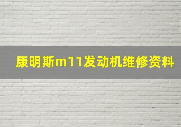 康明斯m11发动机维修资料