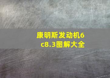 康明斯发动机6c8.3图解大全