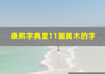 康熙字典里11画属木的字