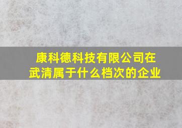 康科德科技有限公司在武清属于什么档次的企业