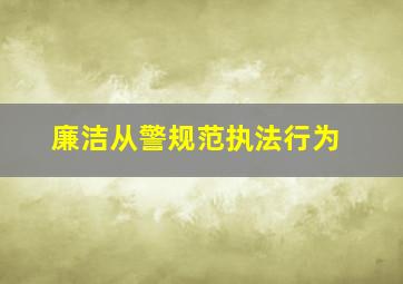 廉洁从警规范执法行为